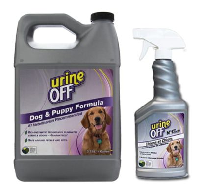 Urine Off pour chien